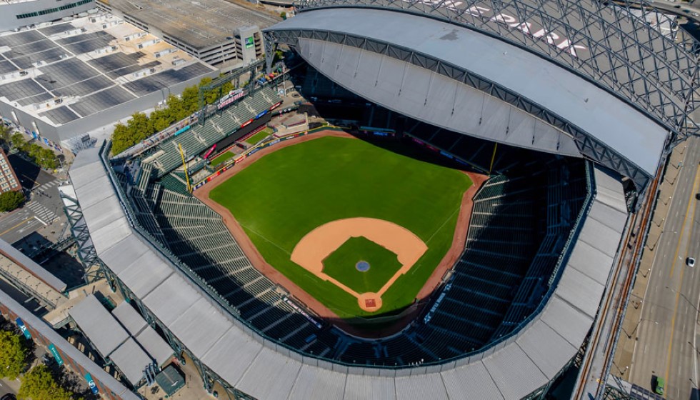 Dramatic Turn at Yankee Stadium: Fan Interference and a Series Win