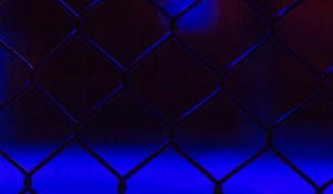 Yan Triumphs in Thrilling Showdown Against Figueiredo at UFC Fight Night in Macao